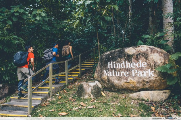 hiking trails in Singapore - Hindhede Nature Park