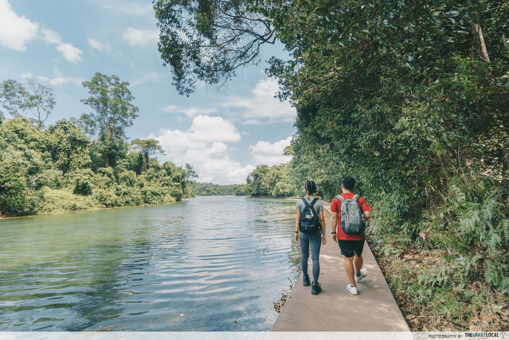 hiking trails in Singapore - MacRitchie Loop