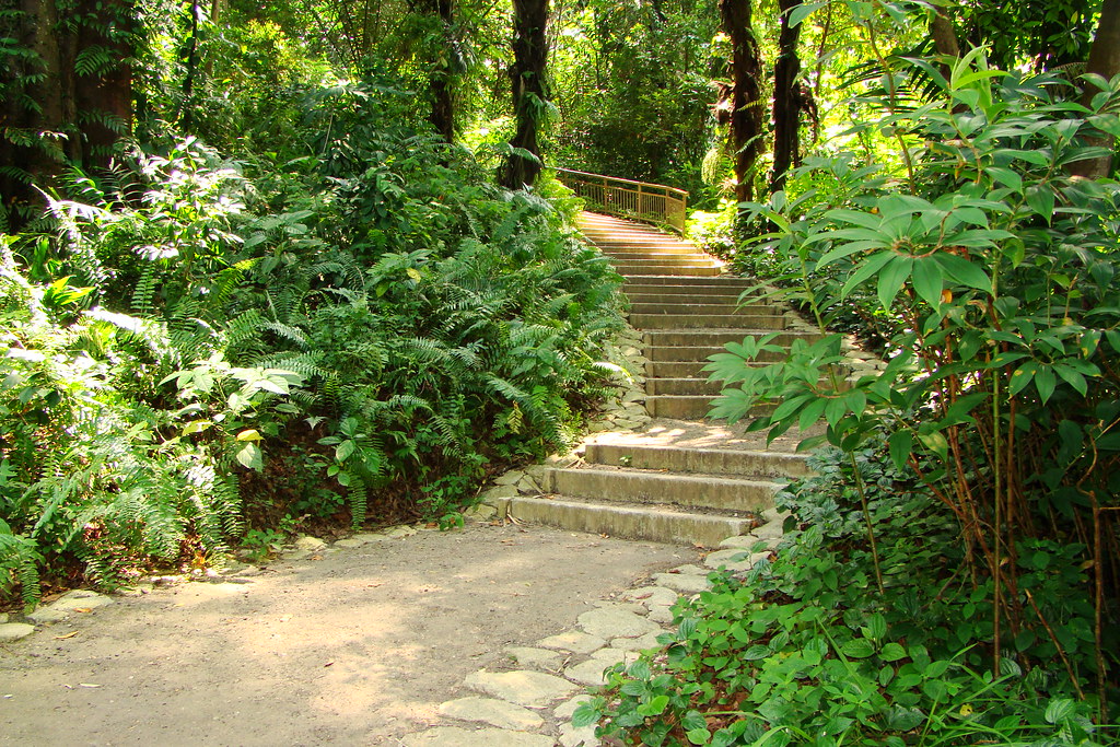 Marang Trail