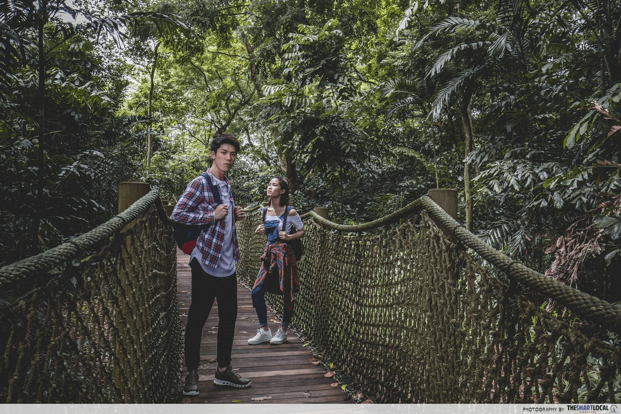 hiking trails in Singapore - Sungei Buloh Wetland Reserve