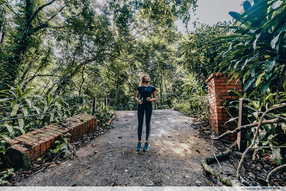 hiking trails in Singapore - Thomson Nature Park