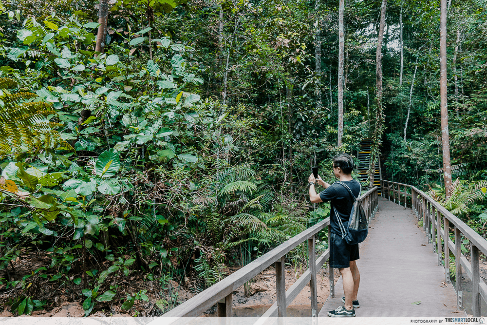 hiking trails in Singapore - Windsor Nature Park