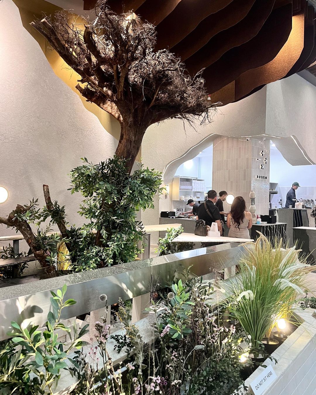 New cafes and restaurants January 2023 - equate coffee upside-down tree