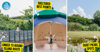 Sengkang Riverside Park Scenic Trail In The North East With Fruit-Themed Boardwalks & Lalang Fields