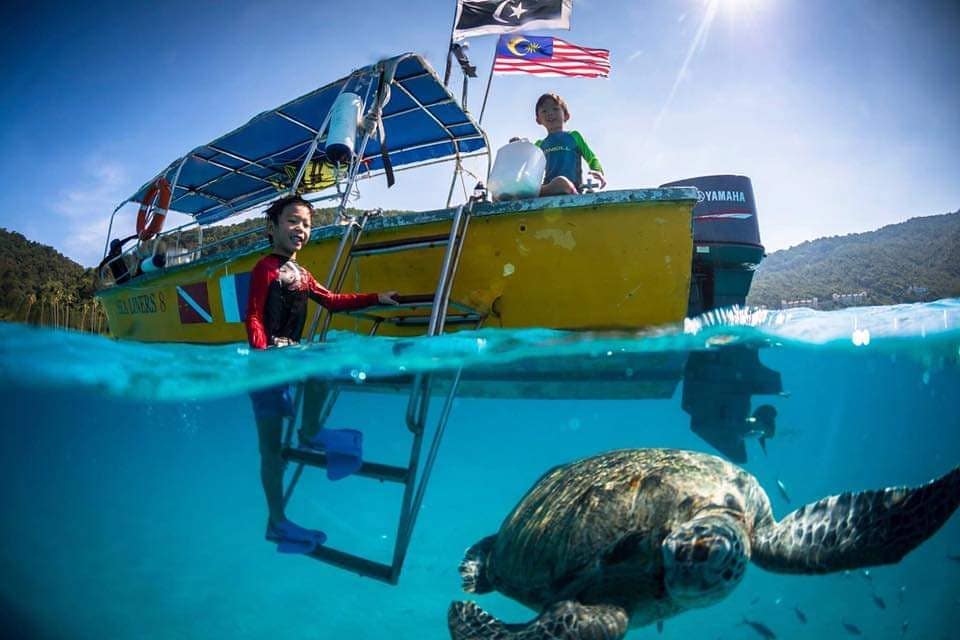 Perhentian Islands sea turtles