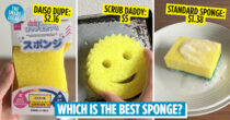 Comparing The Viral Scrub Daddy Against Everyday Sponges - Is It Worth The Price?