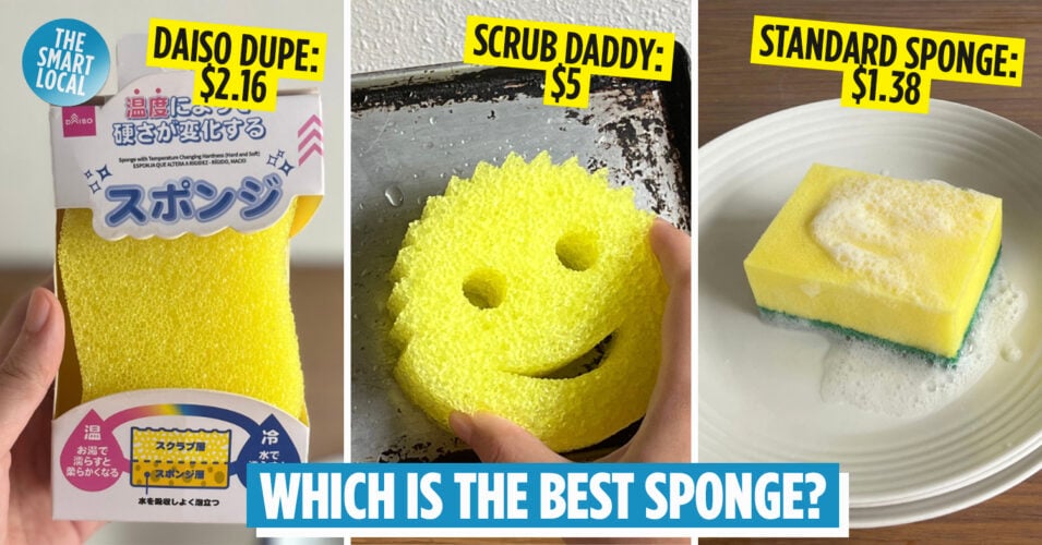 Comparing The Viral Scrub Daddy Against Everyday Sponges