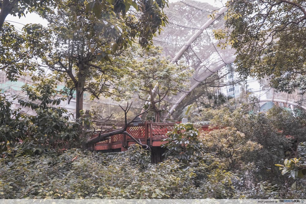 Edward Youde Aviary Hong Kong enclosed rainforest