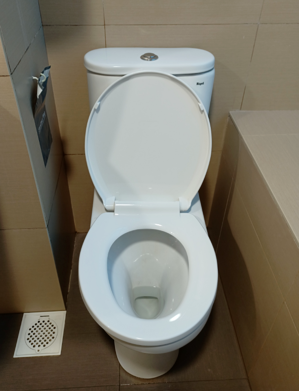 Clean Toilet Bowl Hotel 81
