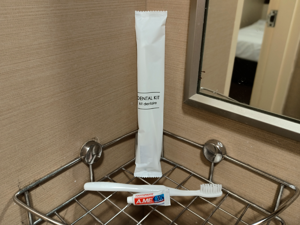 Dental Kit - Disposable Toothbrush, Mini Toothpaste Tube