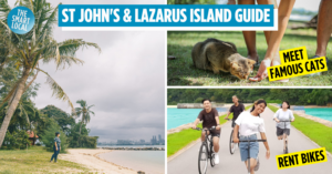 Guide to St John's Island and Lazarus Island
