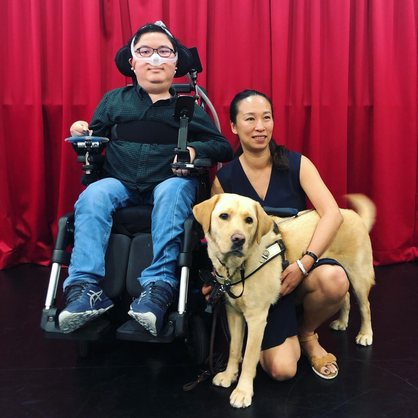 K9Assistance assistant dogs for disabled people 