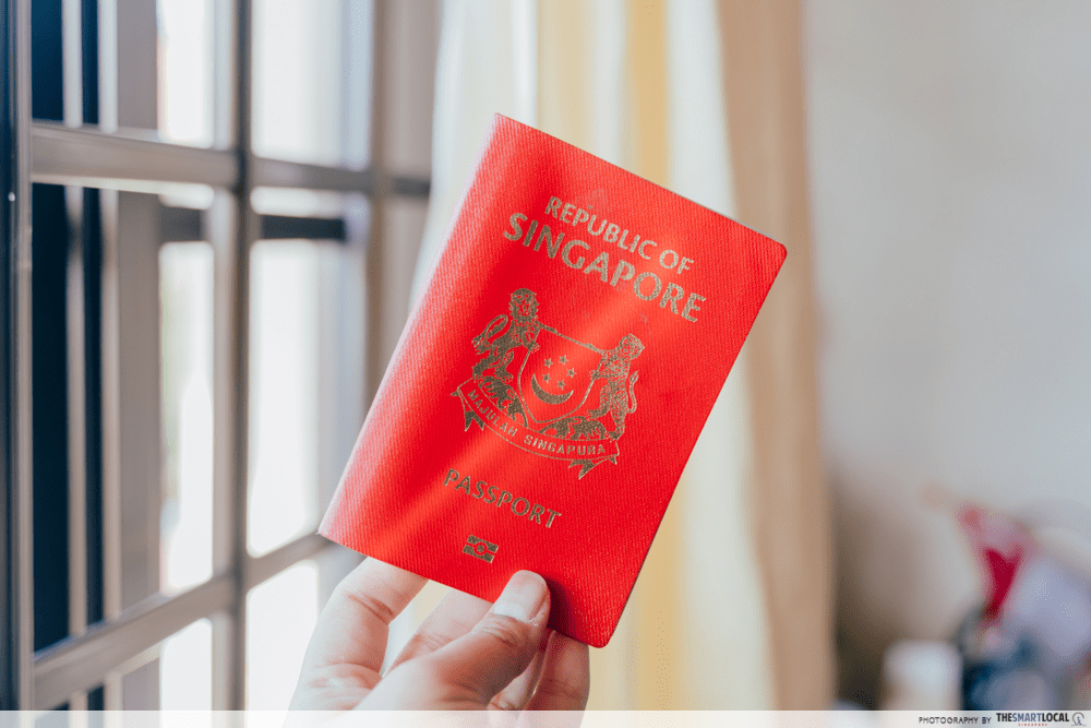 Budget European Airlines - Passport