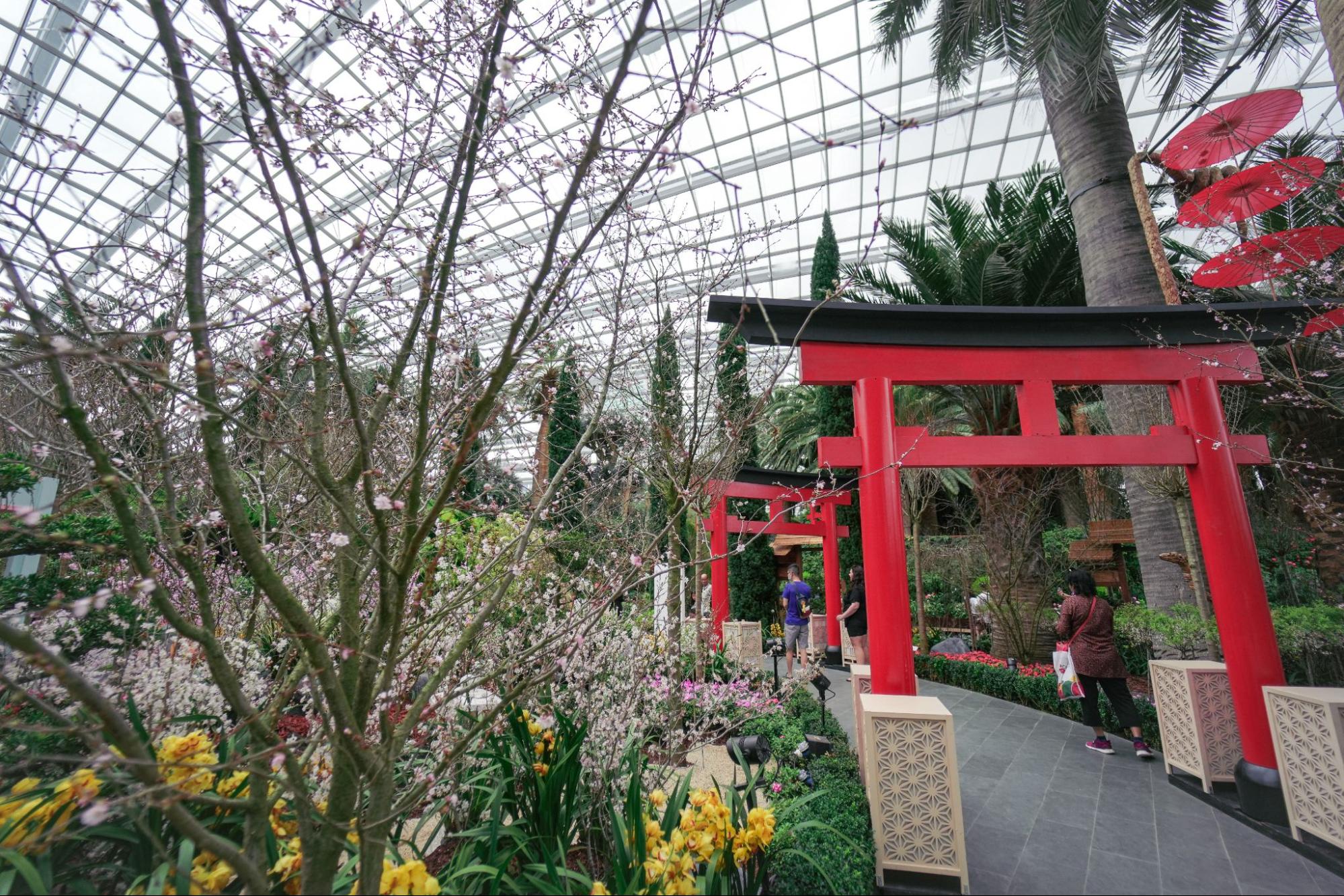 Gardens by the Bay - Sakura - torii gates