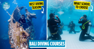 Guide To Learning Scuba Diving In Bali - Choosing A Dive Centre, Cost & Best Dive Spots