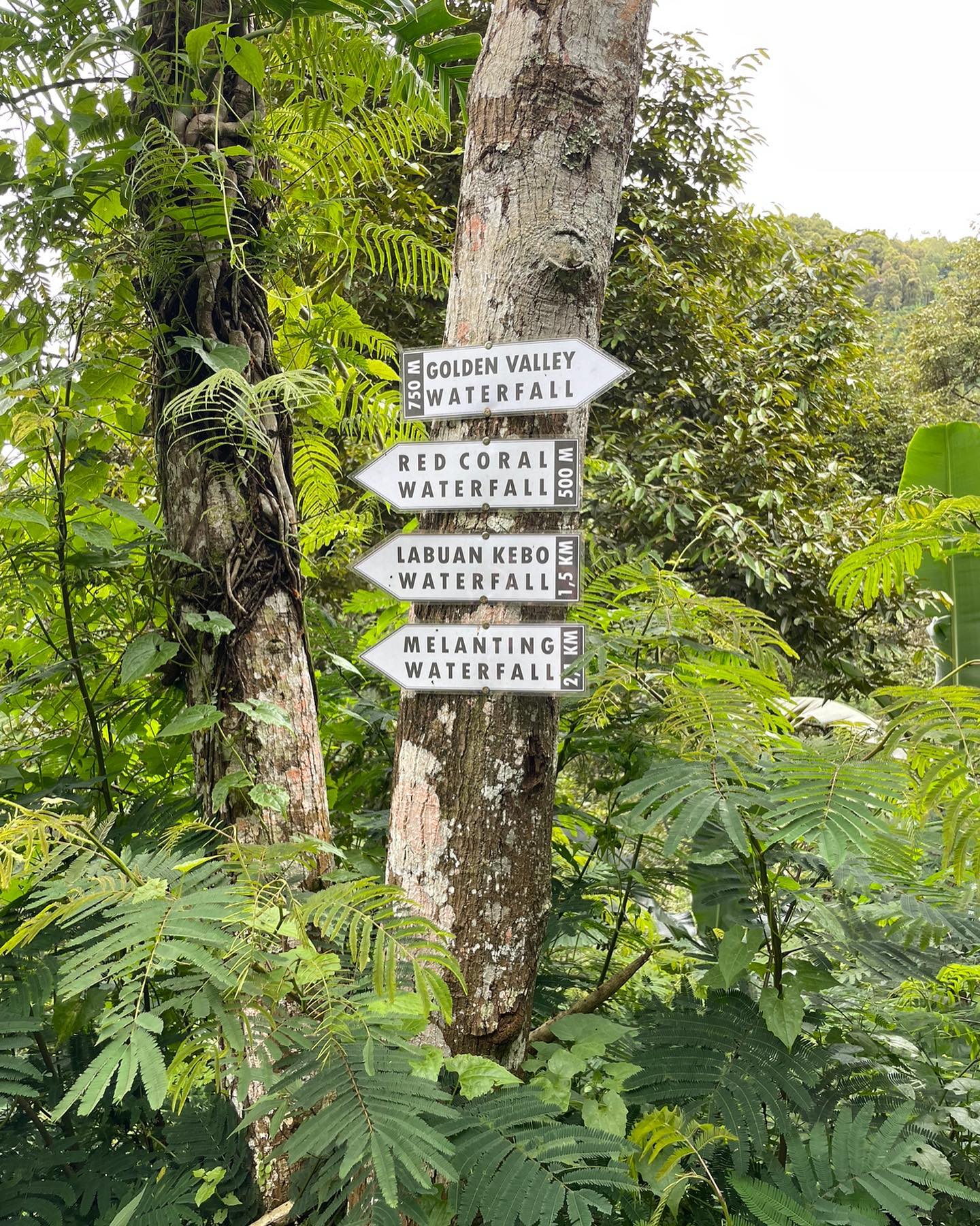 Hiking in Bali - Munduk Waterfall Trek - signs