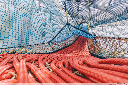 Jewel Changi Airport - Bouncing Nets