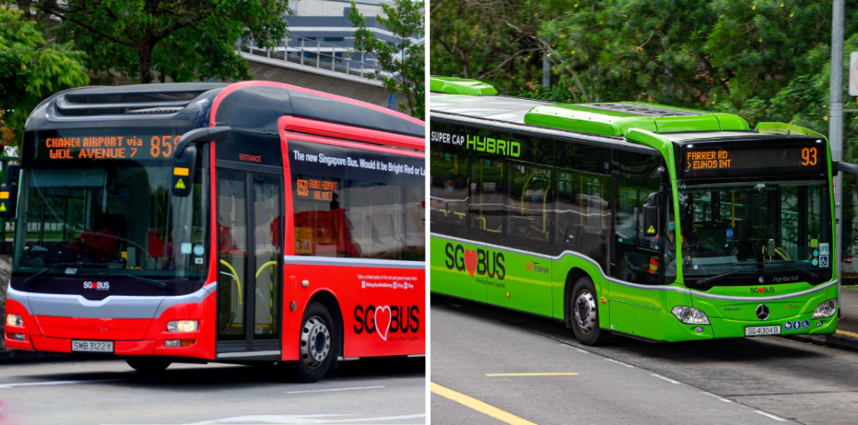 Colour Your Buses Singapore - Bright Red, Lush Green