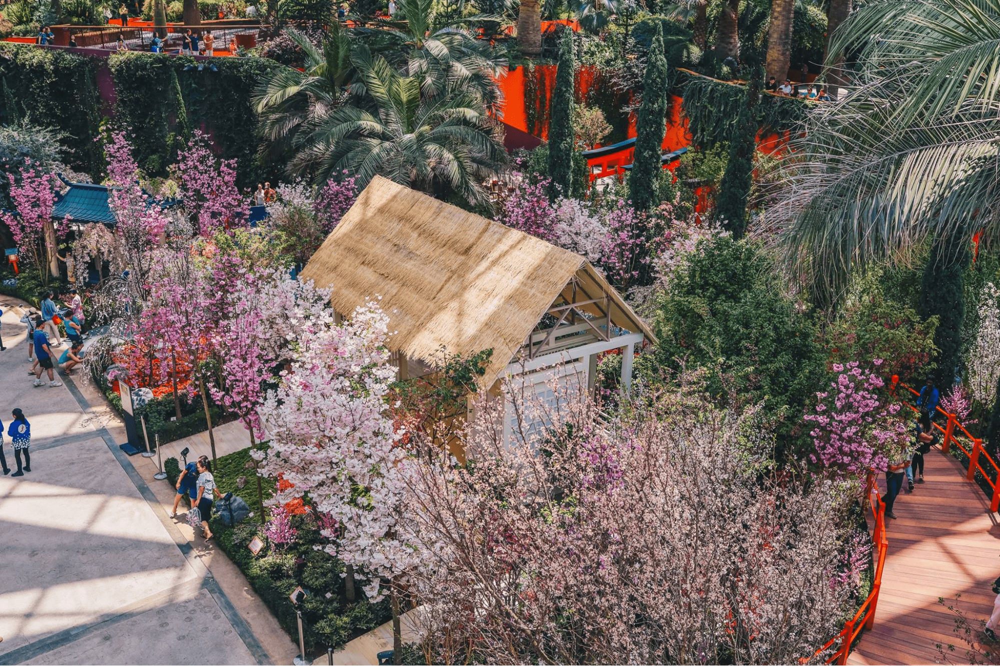 flower dome sakura