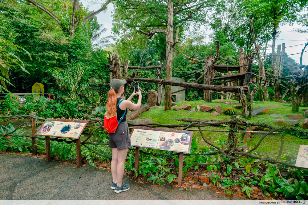mandai wildlife reserve - singapore zoo