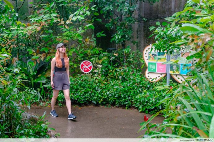 Mandai Wildlife Reserve Singapore Guide