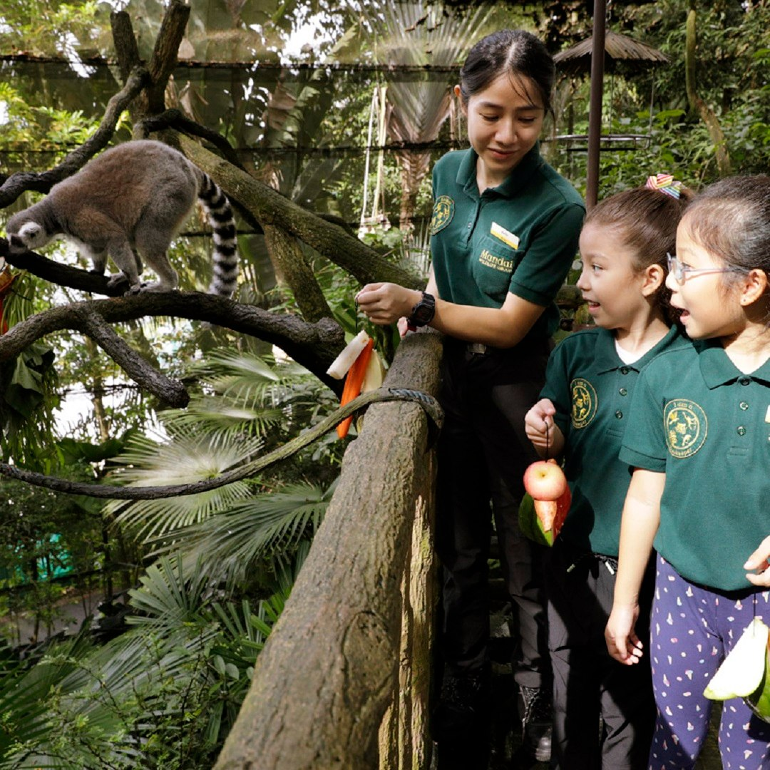 mandai wildlife reserve - singapore zoo zookeeper for a day