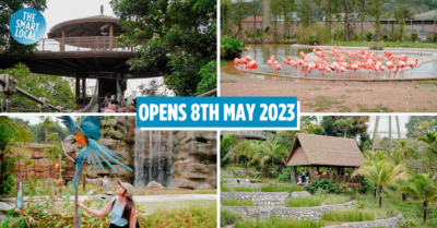 First Look At Bird Paradise Mandai's Newest Wildlife Park With Ticket-Free Playgrounds To Flock To