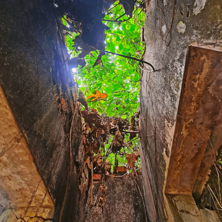 Guide To Kay Siang Bunkers Abandoned WW2 Bunkers In Queenstown