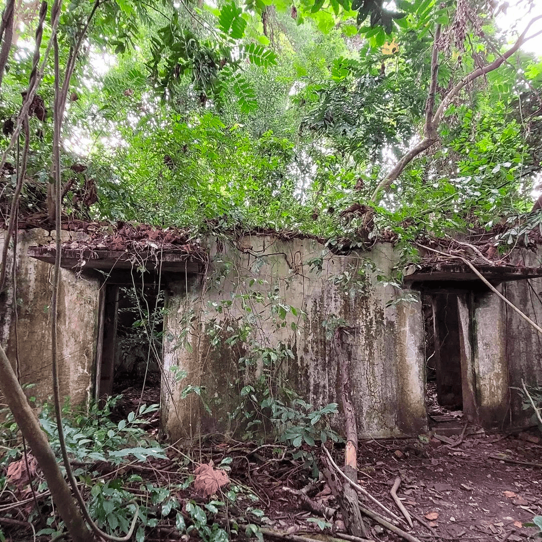 Kay Siang Bunkers Bunker 3 entrance