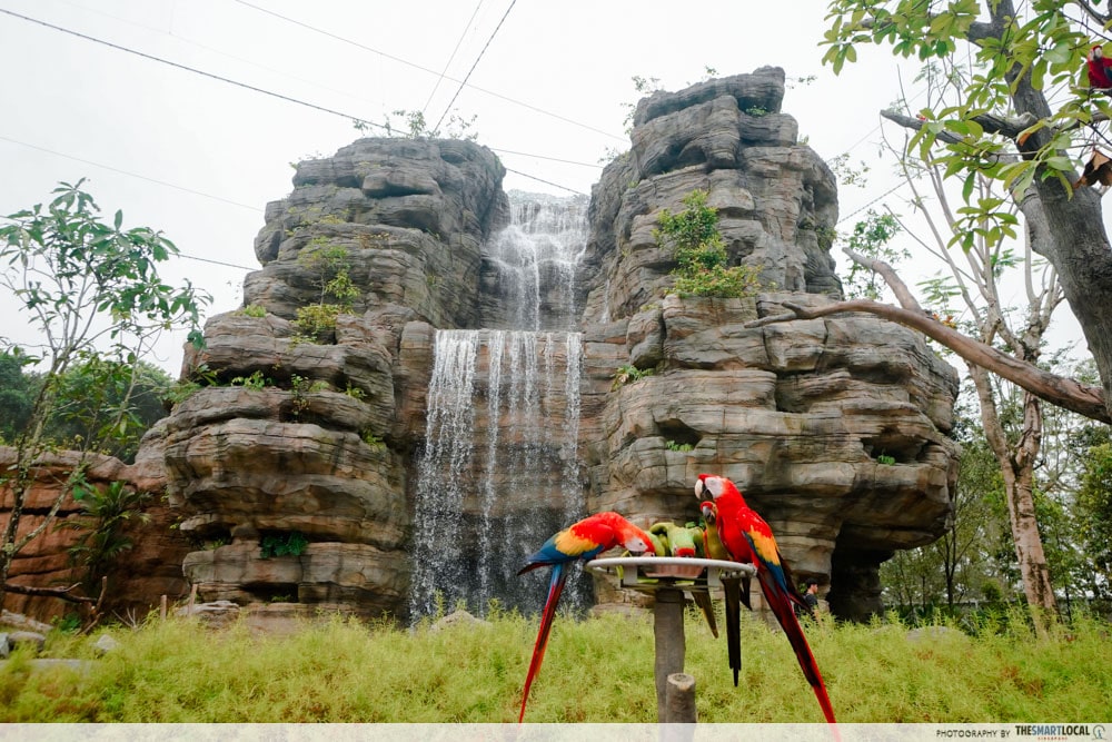 Mandai Bird Paradise - Waterfall Aviary