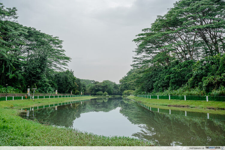 Springleaf Pcn Map 8 Best Neighbourhood Cycling Routes In Singapore Under 3km