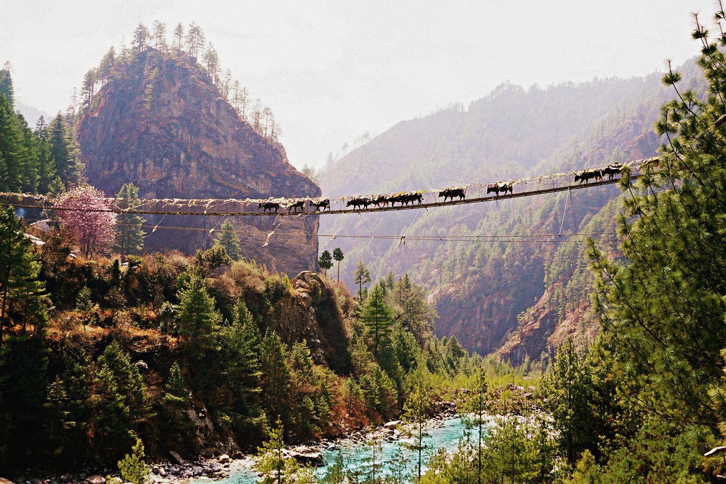Nepal mountain bridge