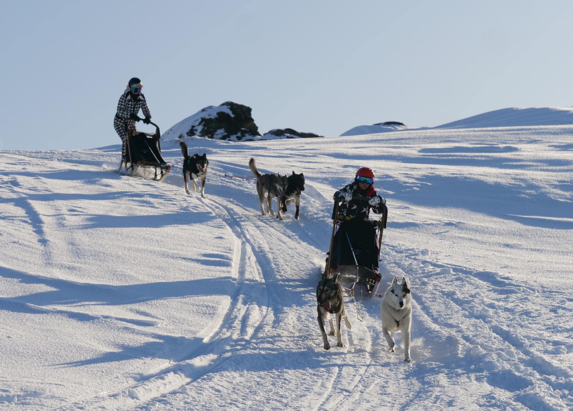 New Zealand itinerary for winter activities 2023 - dog sledding