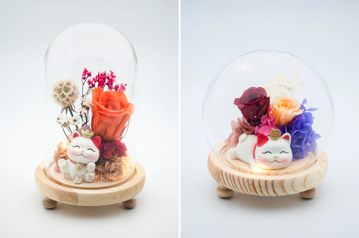 Preserved Flowers - Floracent Cat Domes