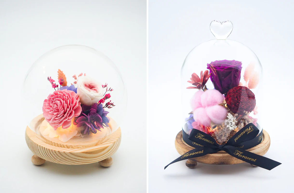 Preserved Flowers - Floracent Flower Domes