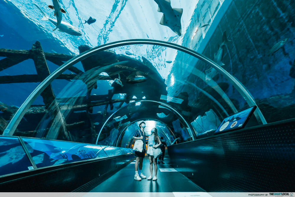 Sentosa Aquarium