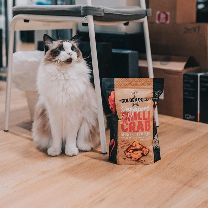 singaporean snack brands-the golden duck snack with cat
