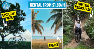 East-coast-park-changi-chestnut-nature-park-bicycle-rental