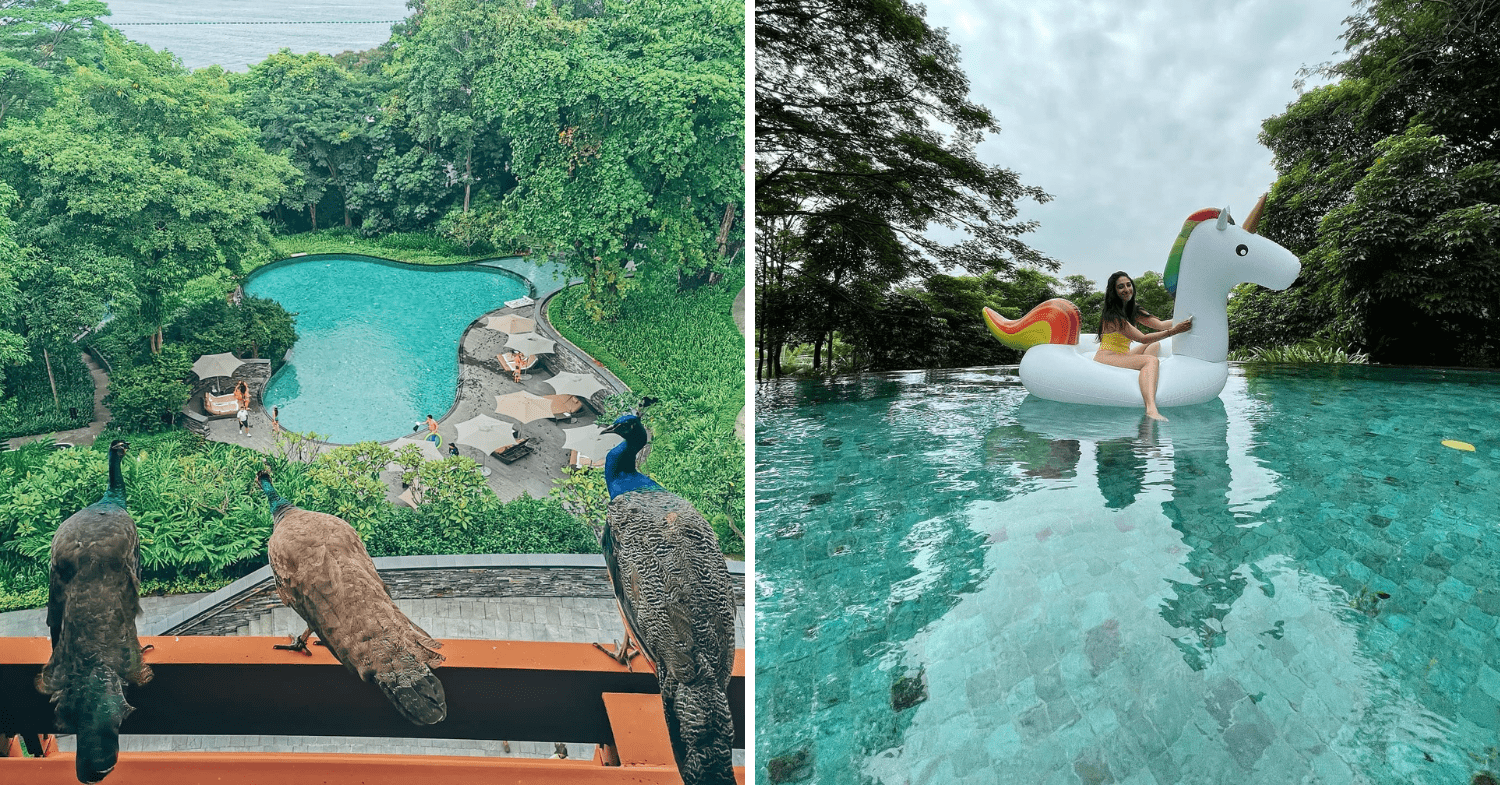 capella singapore sentosa pool float