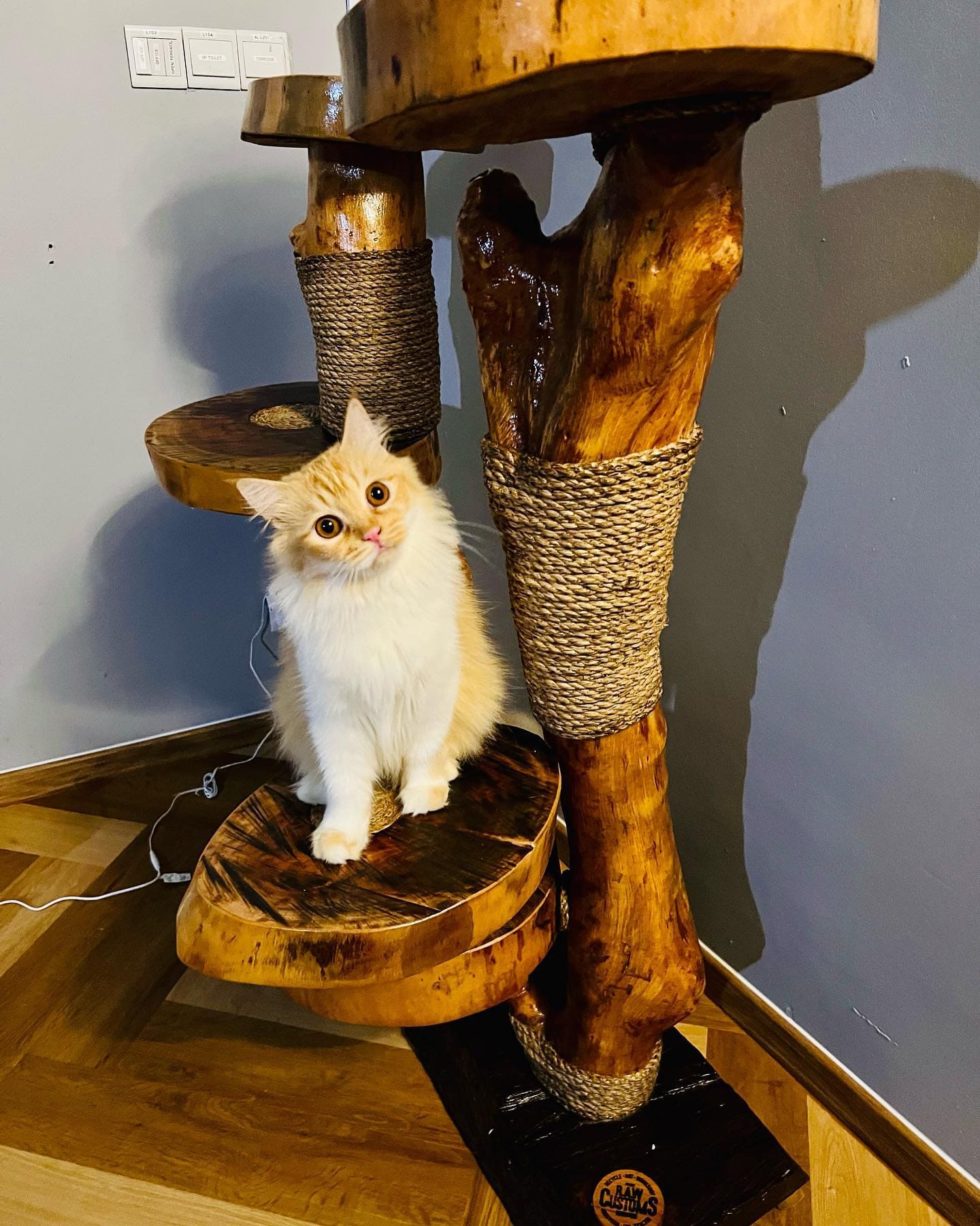 Littles Kats - cat tree