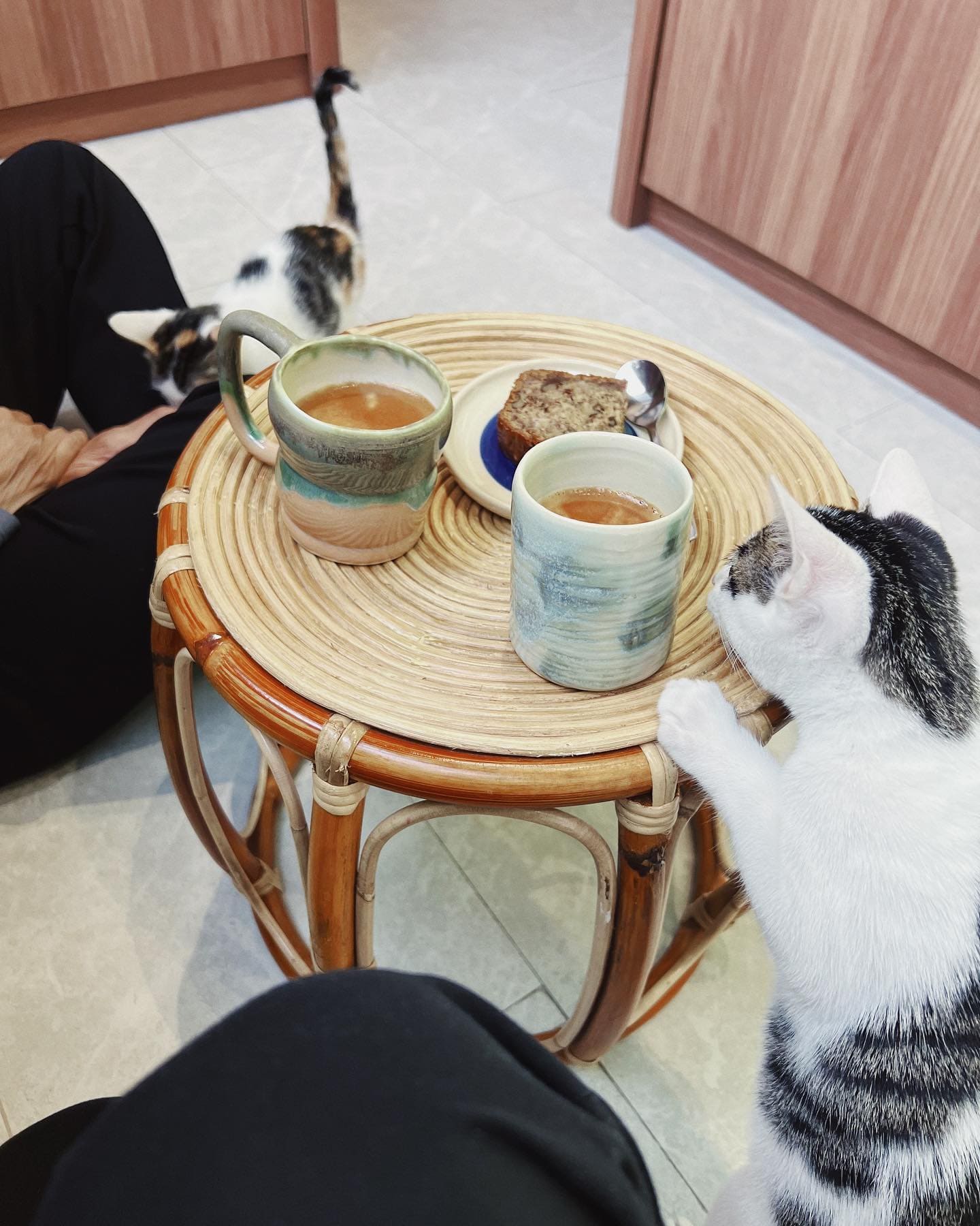 The Kitty Kampung - tea and cake with cats