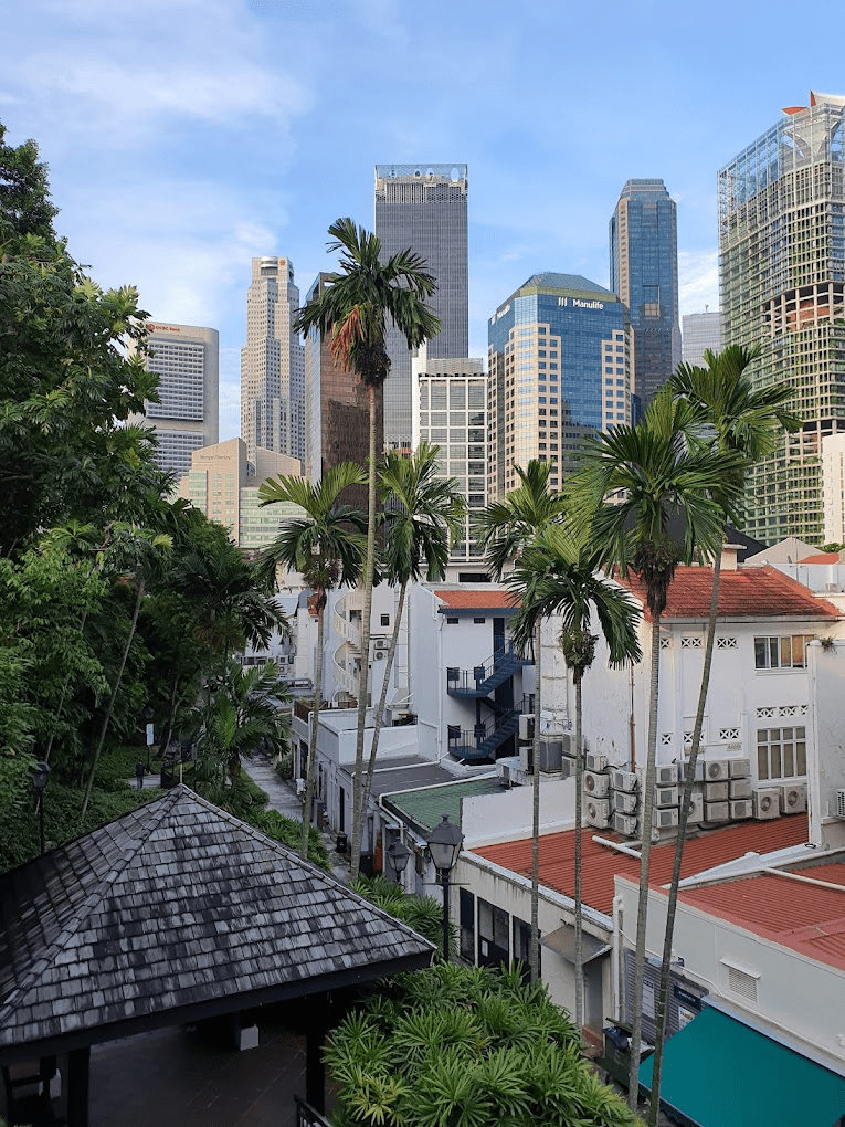 gardens in Singapore - Ann Siang Hill Park (2)