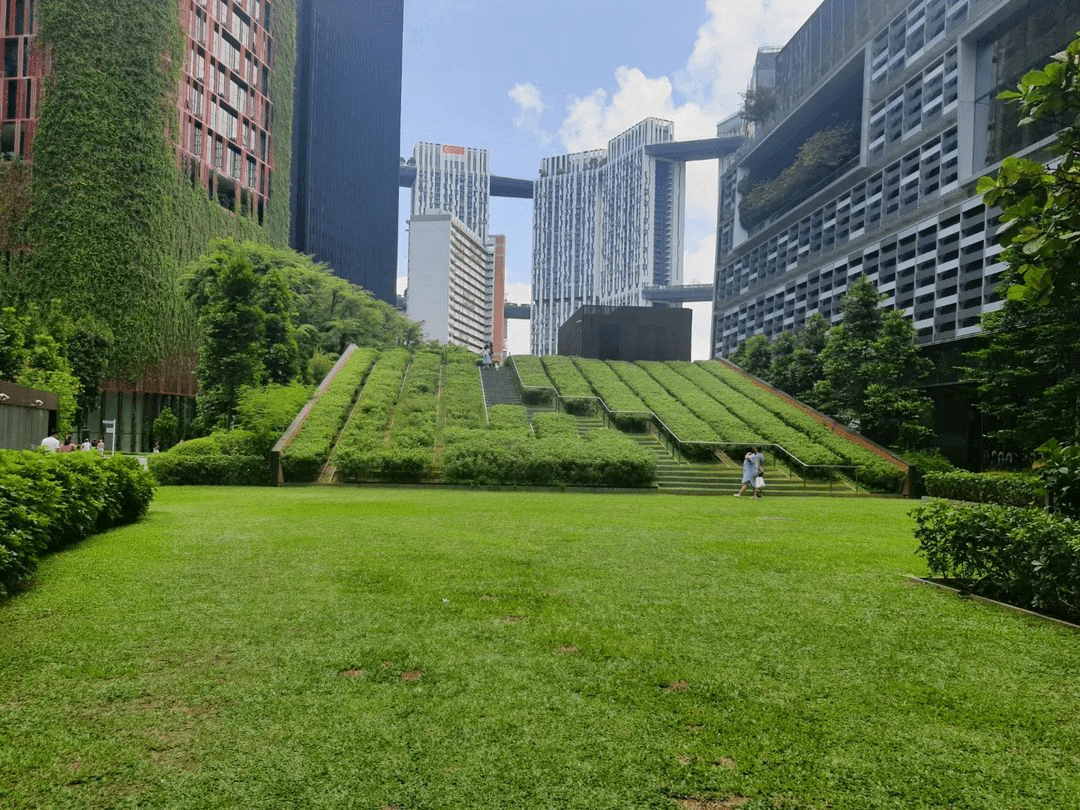 gardens in Singapore - Tanjong Pagar Park (1)