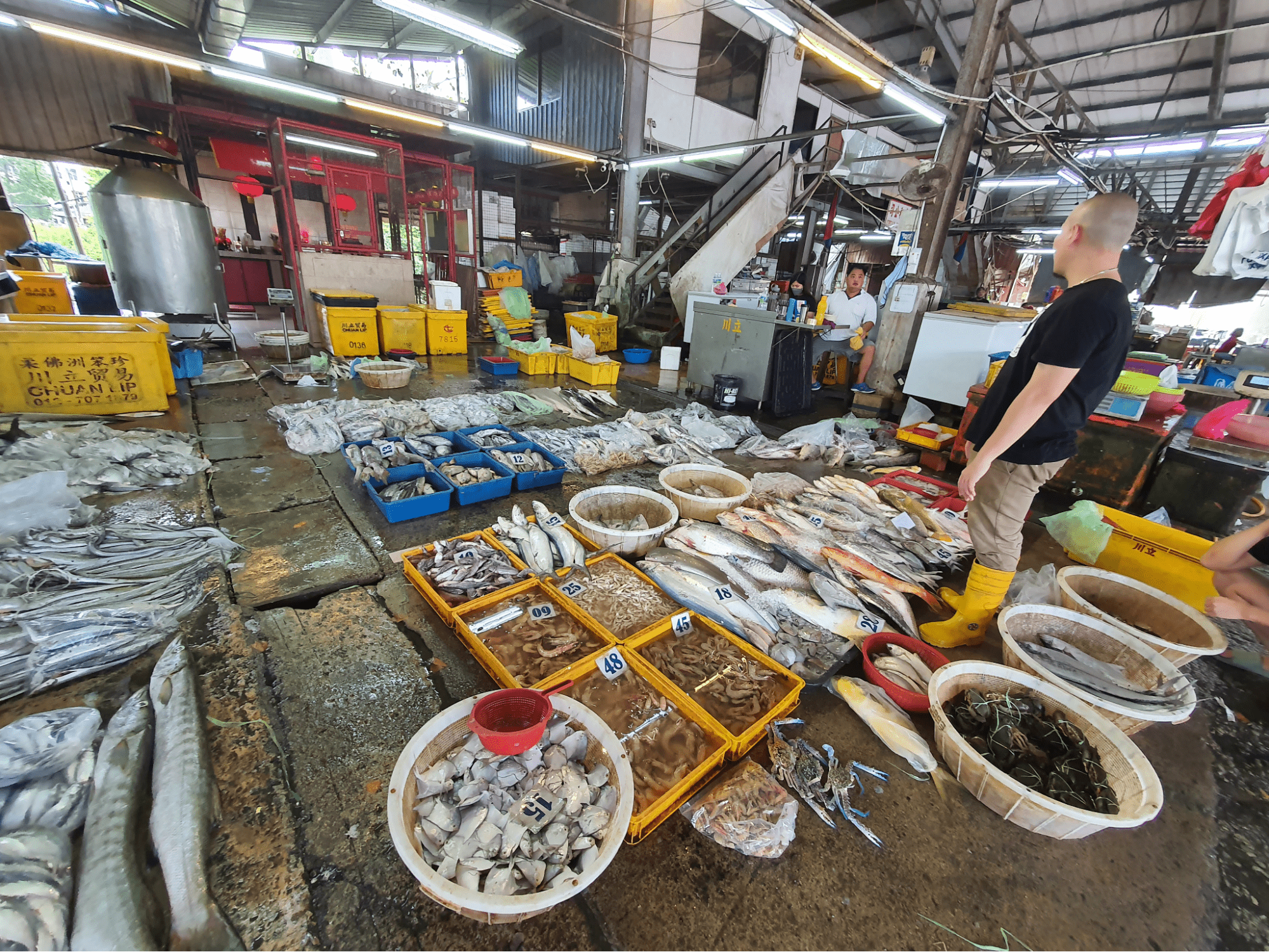 jb day trip - Pontian wholesale fish market