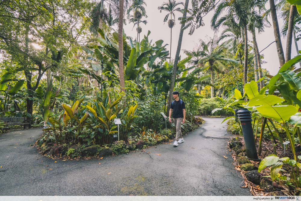 neighbourhood parks unique activities - Singapore Botanic Gardens rain forest
