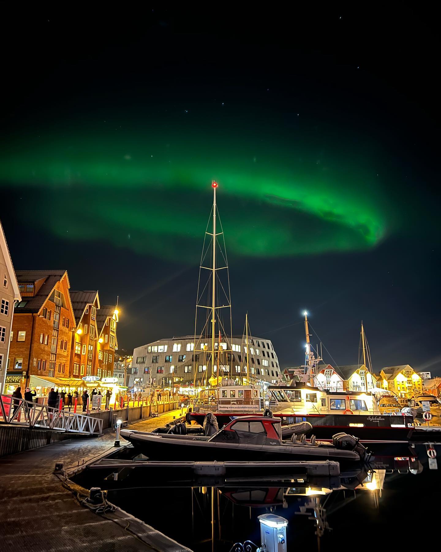 northern lights and southern lights - Tromso