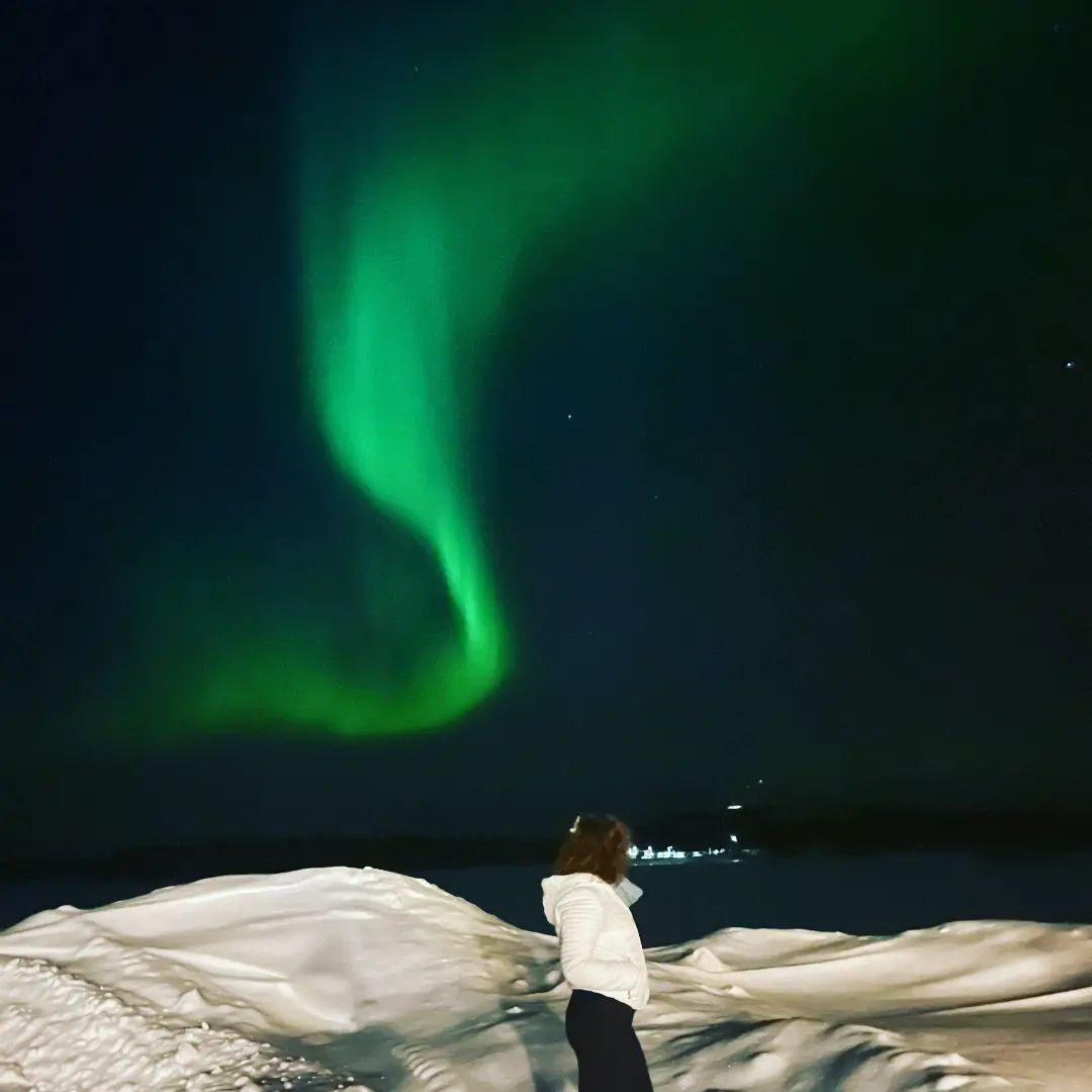 northern lights and southern lights - lapland