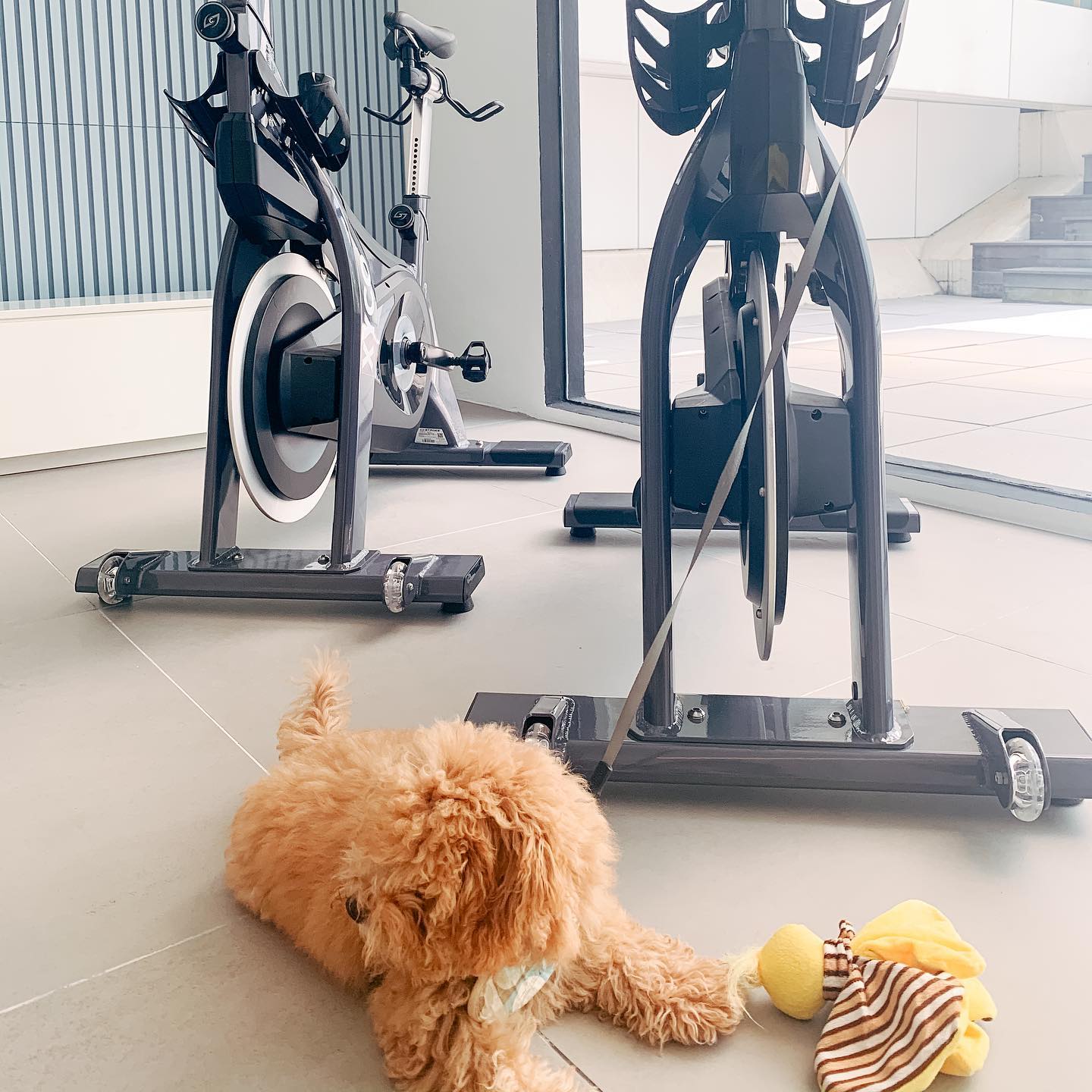 spin classes singapore