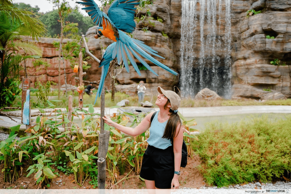 things to do in may 2023 - bird paradise pose with macaws