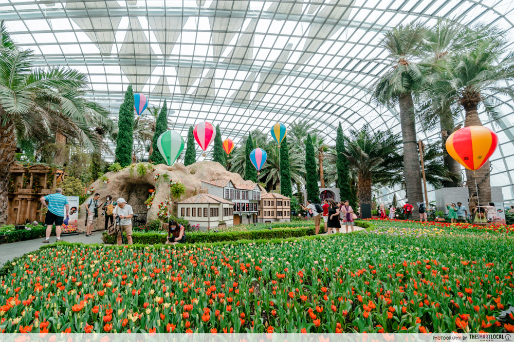 tulipmania gardens by the bay - flower field and hot air balloon